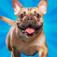 Pocket Paws: Dog Champions img