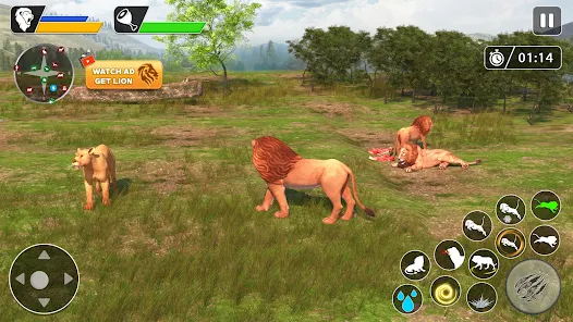 Screenshot 14