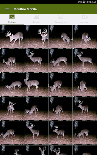 Screenshot 14